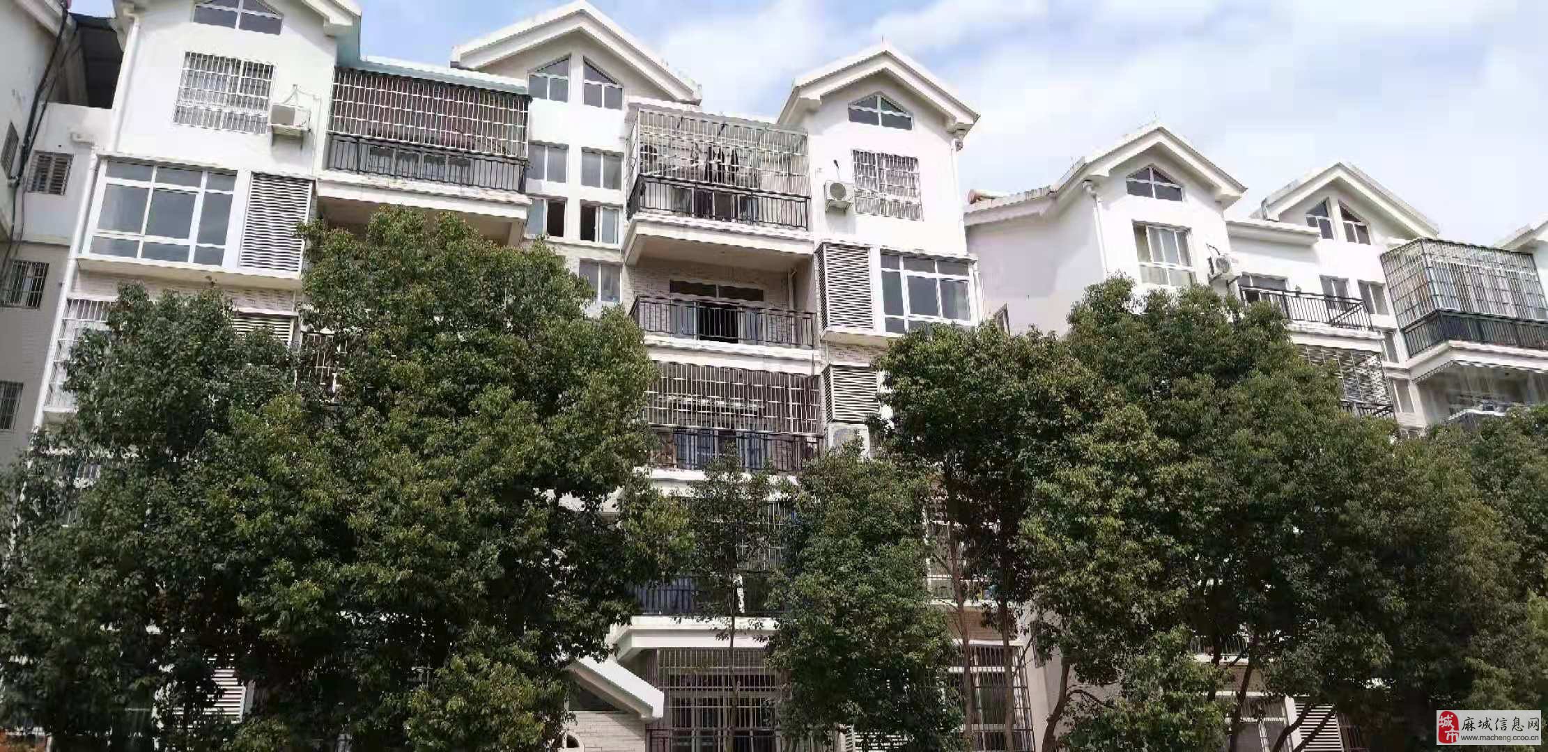 和县最新房产动态更新，全面解析最新房产信息