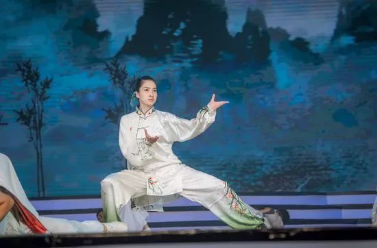 中国武术演员,中国武术演员，传承与演绎东方神韵的使者