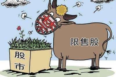 揭秘资本之秘，限售股上市背后的股价上涨动因解析。