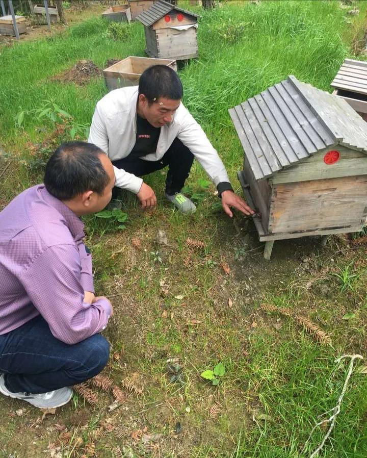 武义最新疫情全面解读与应对策略