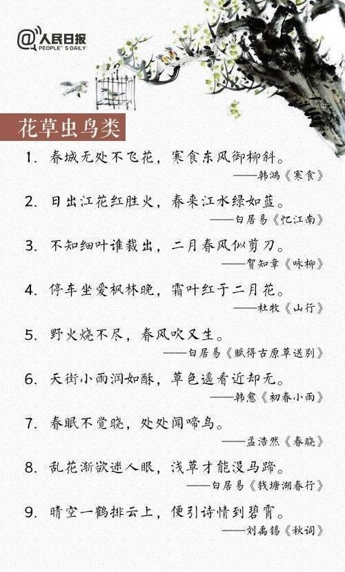 最新网络诗句，家的温馨日常之美