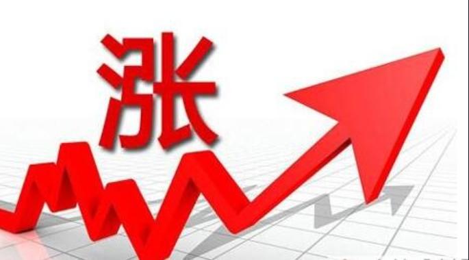 最新刚材价格揭秘，小巷深处的独特发现