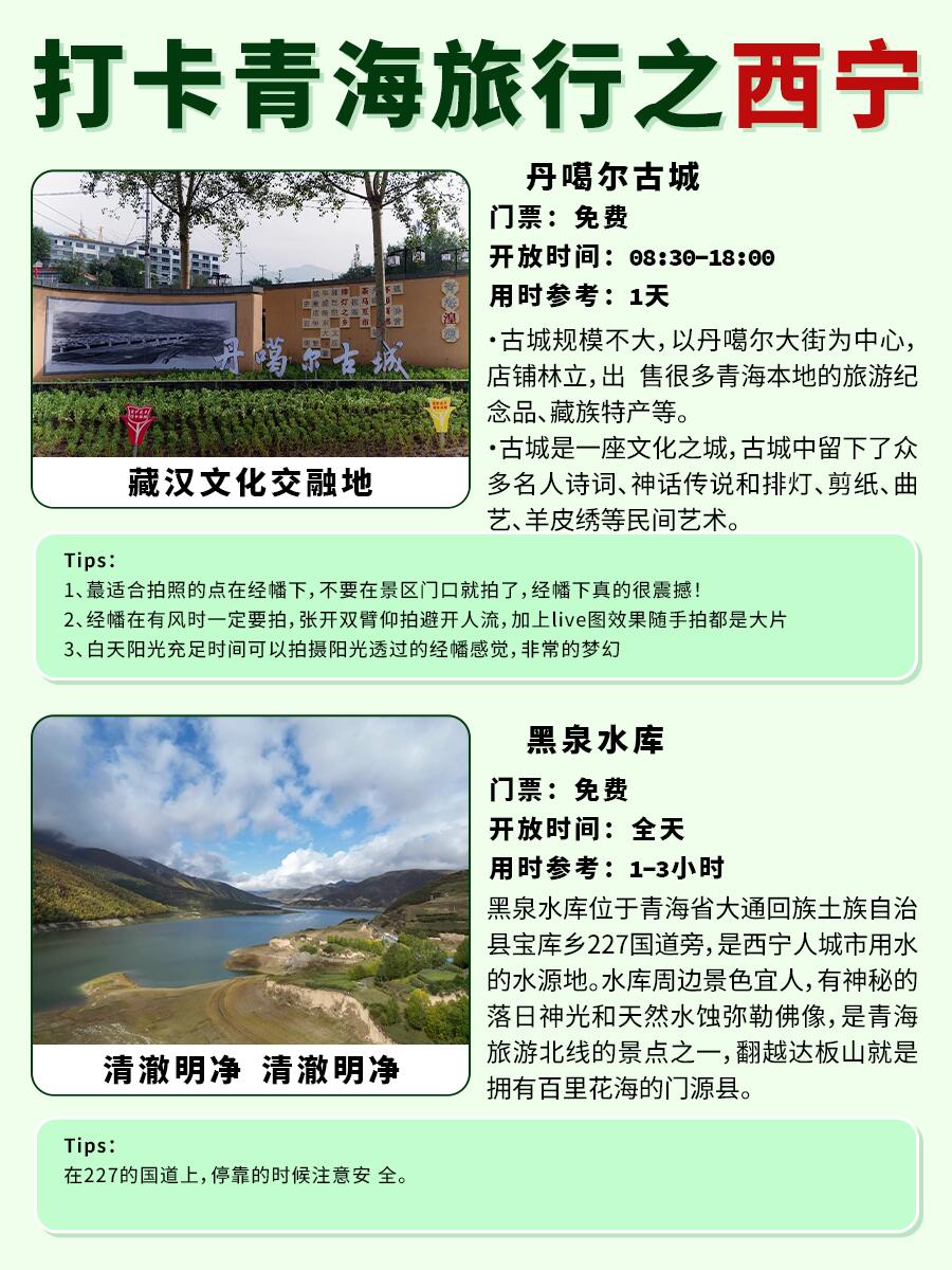 西宁旅游政策最新更新，探寻小巷独特宝藏的旅行攻略
